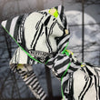 Load image into Gallery viewer, BeetleBow BellaBow XL