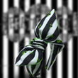 Load image into Gallery viewer, It's Showtime BellaBow