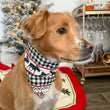 Load image into Gallery viewer, Wilderness Pet Bandana
