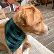 Load image into Gallery viewer, Green Buffalo Plaid Pet Bandana