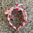 Load image into Gallery viewer, Caboom! Hairband