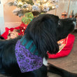 Load image into Gallery viewer, Ghost Host Pet Bandana