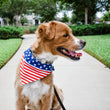 Load image into Gallery viewer, Stars & Stripes Pet Bandana