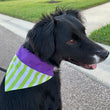 Load image into Gallery viewer, Space Ranger Pet Bandana