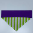 Load image into Gallery viewer, Space Ranger Pet Bandana
