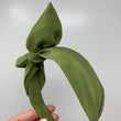 Load image into Gallery viewer, Olive Green BellaBow
