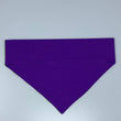 Load image into Gallery viewer, Space Ranger Pet Bandana