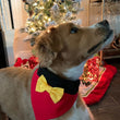 Load image into Gallery viewer, Mickey Pet Bandana
