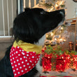 Load image into Gallery viewer, Minnie Pet Bandana