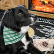 Load image into Gallery viewer, Cunning Pet Bandana