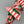 Load image into Gallery viewer, O Christmas Tree BellaBow XL
