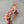 Load image into Gallery viewer, Magical Gingerbread BellaBow
