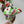 Load image into Gallery viewer, Grinchmas BellaBow XL (NEW)
