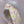 Load image into Gallery viewer, Daisies BellaBand
