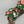 Load image into Gallery viewer, Christmas Candy BellaBow
