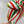Load image into Gallery viewer, Whoville Stripes BellaBow
