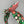 Load image into Gallery viewer, Christmas Candy BellaBow
