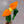 Load image into Gallery viewer, Orange Bird BellaBow
