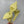 Load image into Gallery viewer, Yellow Flowers BellaBow
