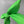 Load image into Gallery viewer, Lime Green BellaBow
