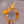 Load image into Gallery viewer, Groovy Flowers BellaBow
