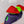 Load image into Gallery viewer, Poison Apple BellaBow
